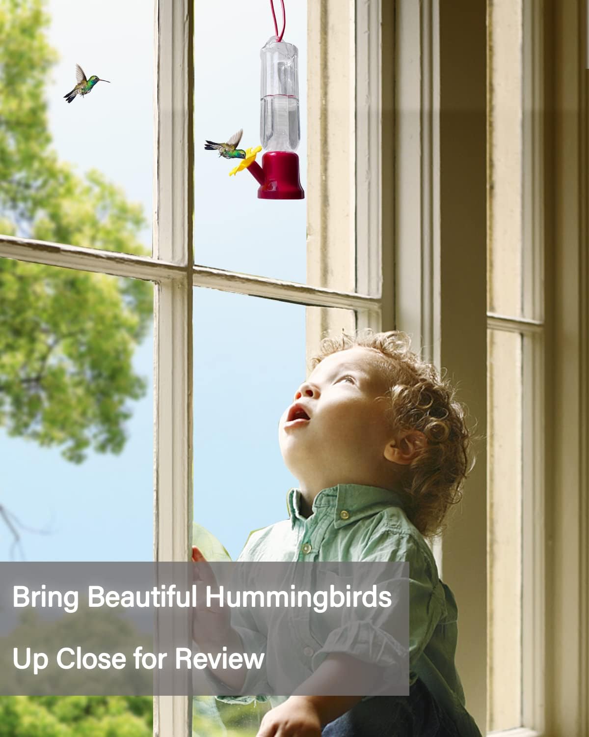 Small Hummingbird Feeder with Hanging Wires, Easy Cleanup and Refill Mini Hummingbird Feeders for Outdoors