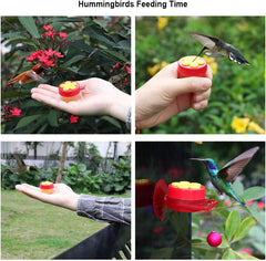 Handheld Hummingbird Feeders, Hand Feeders Suction Cup with Perches for Outdoors