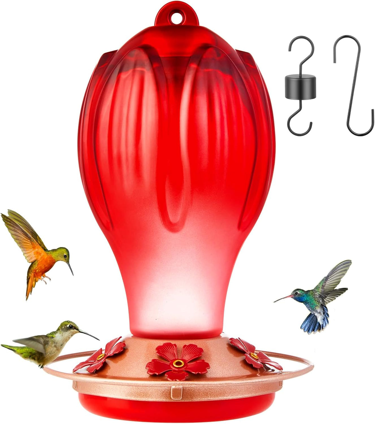 Hummingbird Feeders for Outdoors, 33OZ Glass Hummingbird Feeder with 5 Feeding Port and Perch