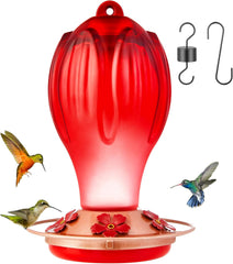 Hummingbird Feeders for Outdoors, 33OZ Glass Hummingbird Feeder with 5 Feeding Port and Perch